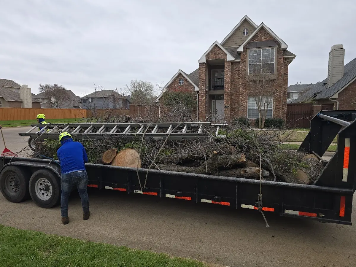Expert Tree Pest Control with proper safety equipment in Rowe